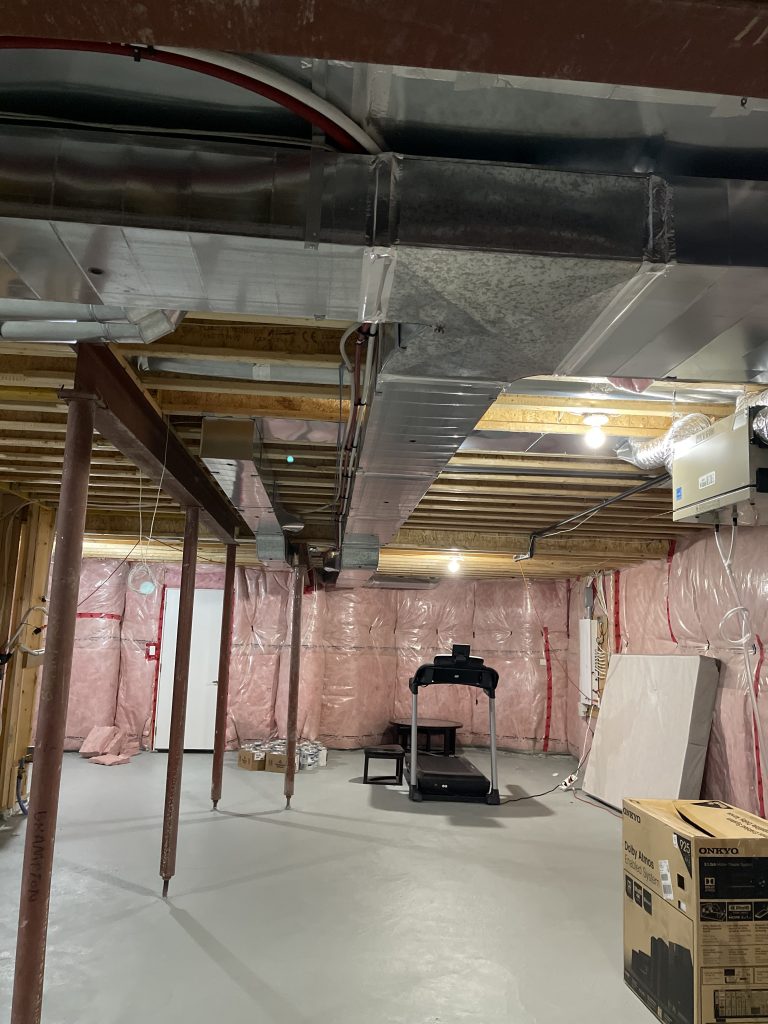 Basement Gym